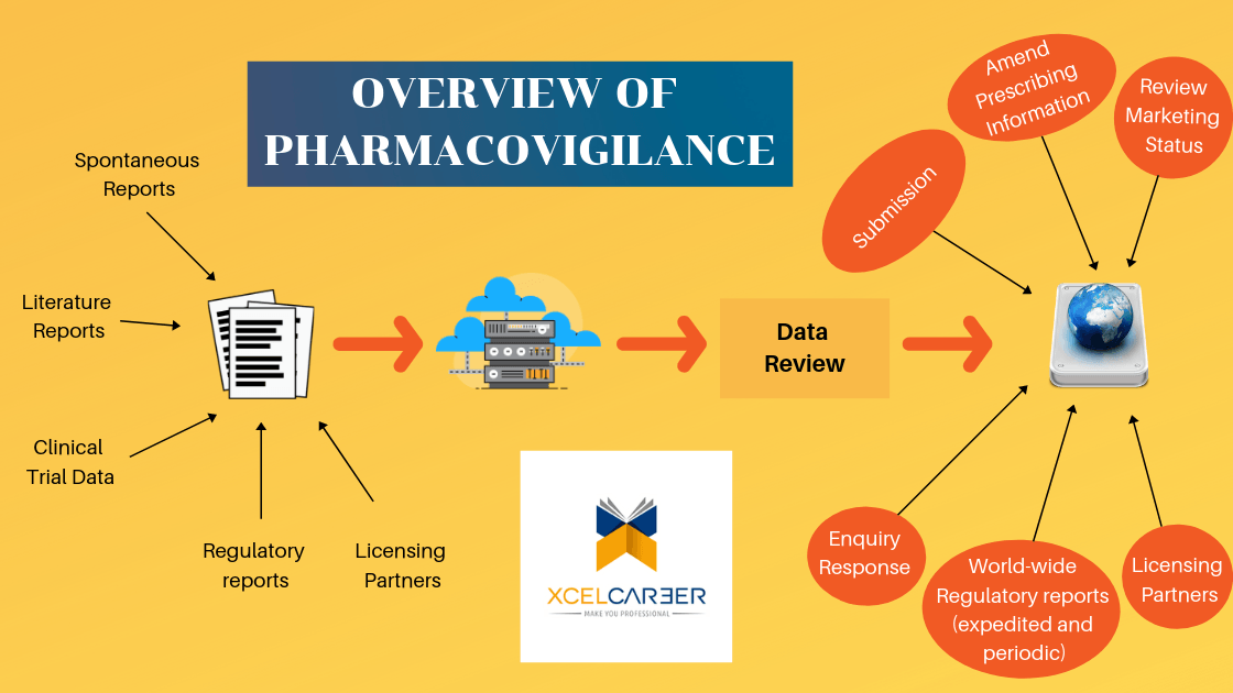 research paper of pharmacovigilance